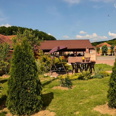 Pensiunea Anca Băile Felix Exterior foto